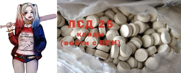 PSILOCYBIN Бородино