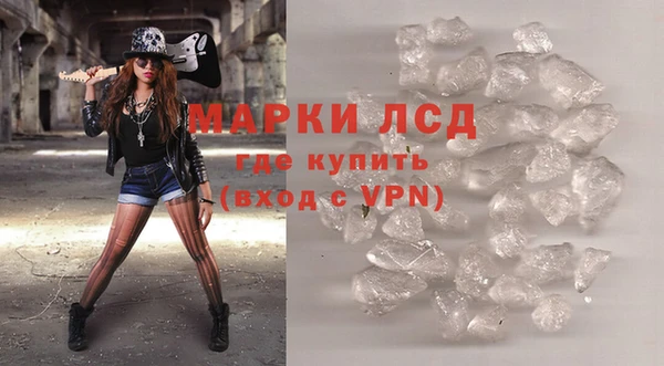 PSILOCYBIN Бородино