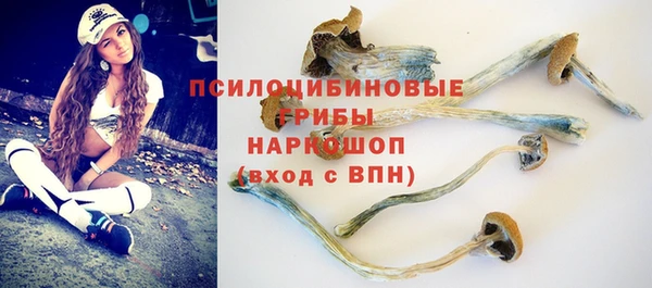 спиды Бронницы