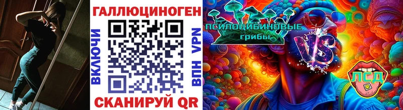 Галлюциногенные грибы MAGIC MUSHROOMS  Купить закладки  Магадан 